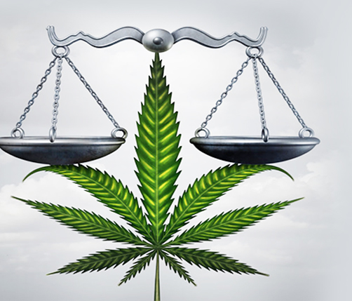Balancing the Scales? Big Marijuana and Social Equity - Canna Law Blog™
